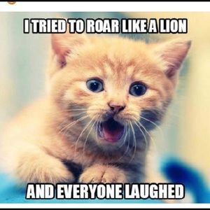 Meet your Posher, Julie